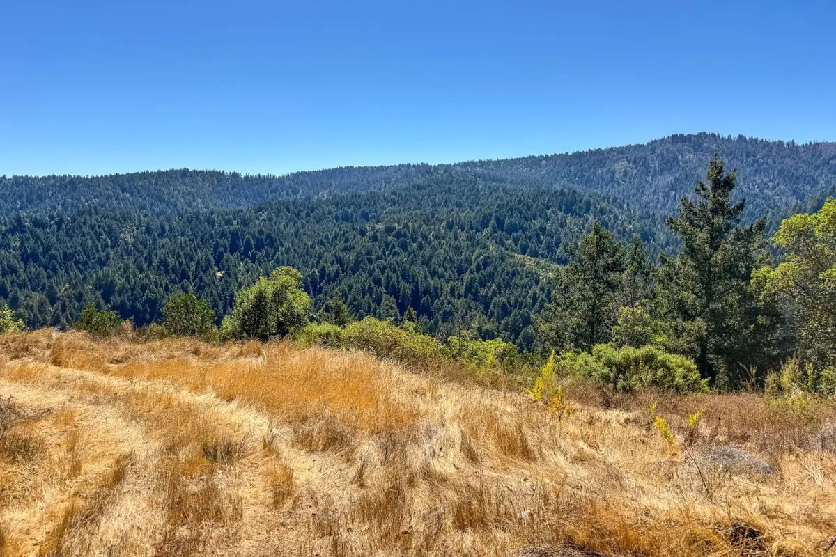 1200 Roberts Road, Ben Lomond, CA 95005 - #1