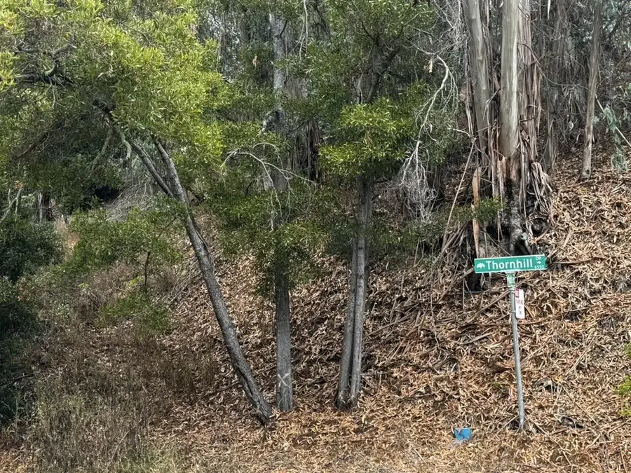 6567 Thornhill Drive, Oakland, CA 94611 - #2