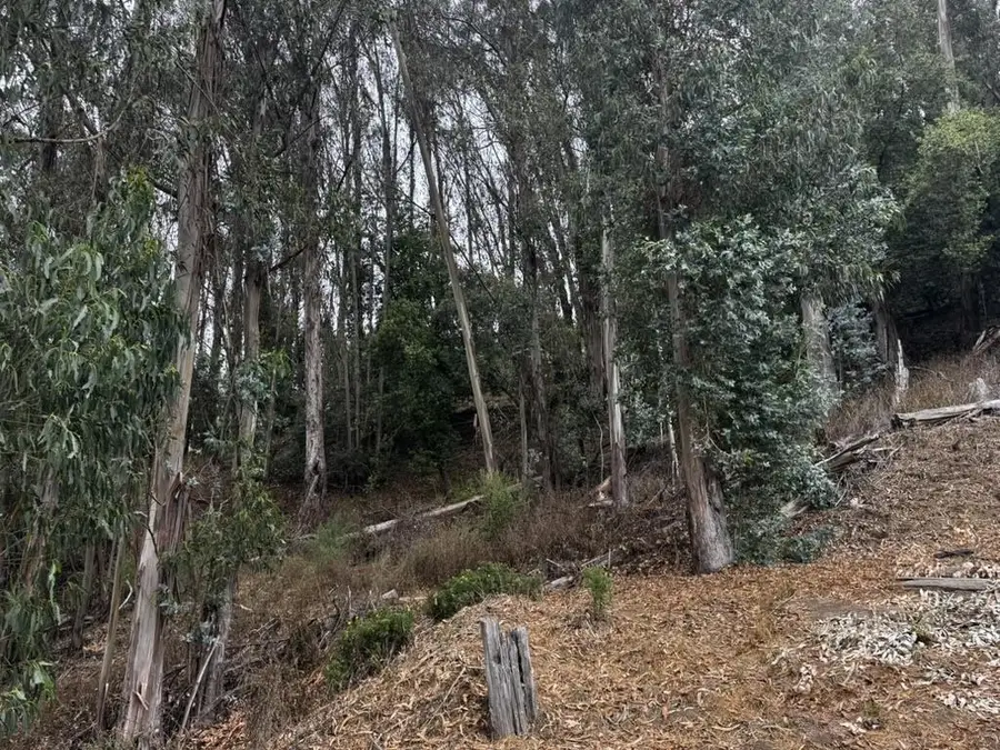 6567 Thornhill Drive, Oakland, CA 94611 - #3