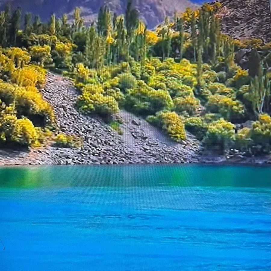 0 New Idria, Paicines, CA 95043 - #2