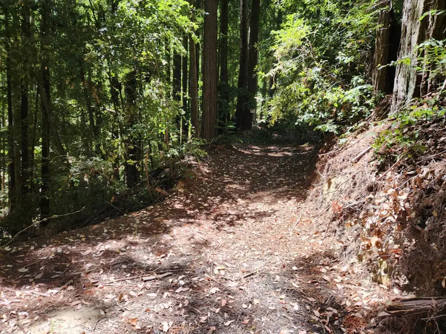 510 East Road, Boulder Creek, CA 95006 - Image #2