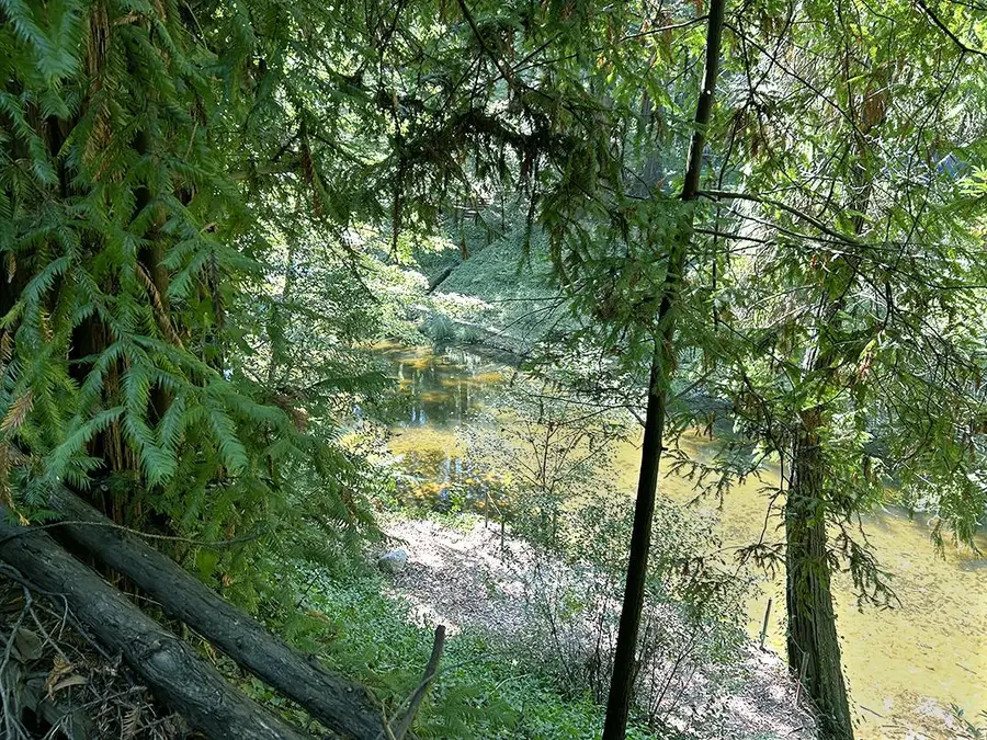 11085 Riverside Road, Brookdale, CA 95007 - #2