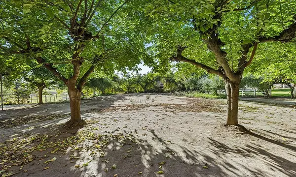 547 Mission Vineyard Road, SAN JUAN BAUTISTA, CA 95045