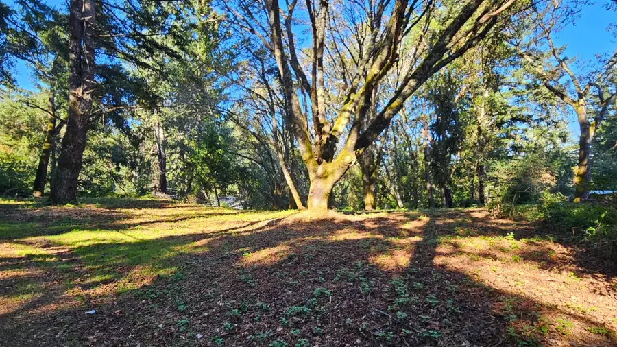 21749 Summit Road, Los Gatos, CA 95033 - #2