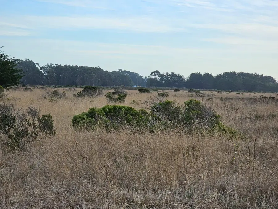 00 Park Avenue, Half Moon Bay, CA 94019 - #3