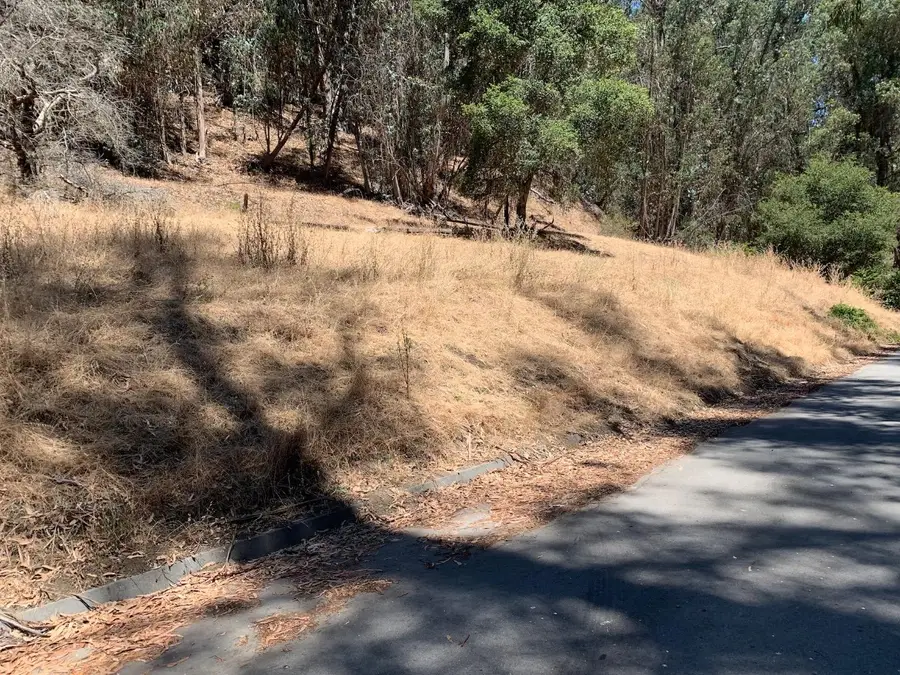 00 Lupine Lane, Santa Cruz, CA 95065 - Image #3