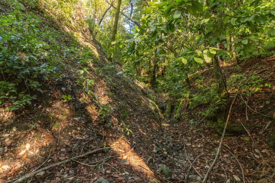 01 Lompico Road, Felton, CA 95018 - Image #3