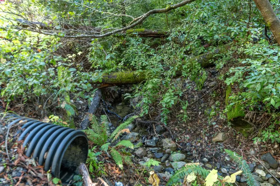 4 Old Mill Avenue, Felton, CA 95018 - Image #2