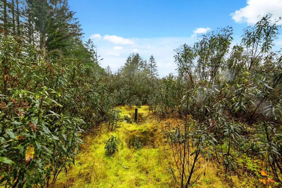 60 Braemoor Drive, Santa Cruz, CA 95060 - #3