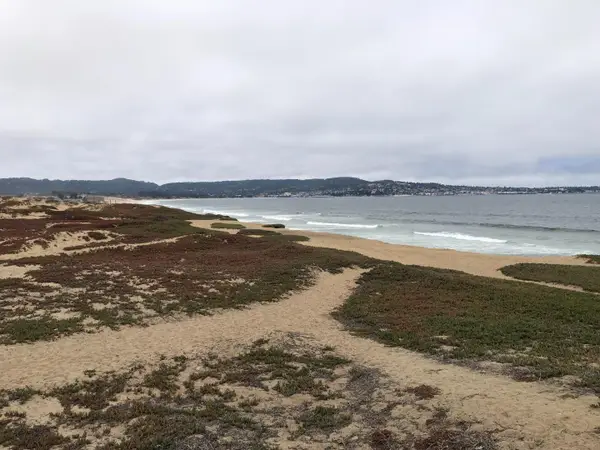 0 Tioga Avenue, SAND CITY, CA 93955