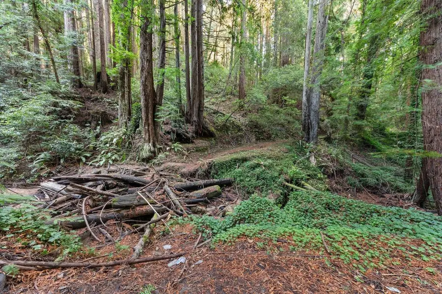 3936 Tunitas Creek Road, Half Moon Bay, CA 94019 - Image #2