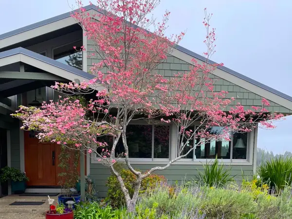 1584 Tindall Ranch Road, CORRALITOS, CA 95076