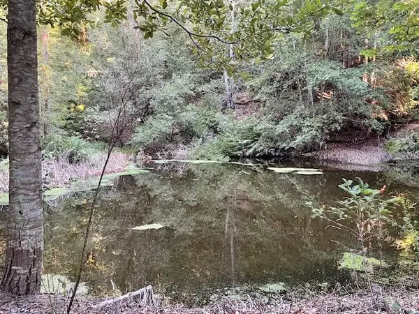 00 Love Creek, BEN LOMOND, CA 95005