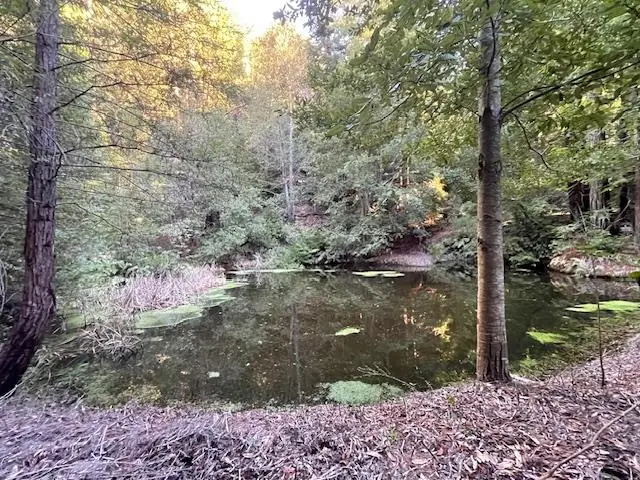 00 Love Creek, Ben Lomond, CA 95005 - Image #2