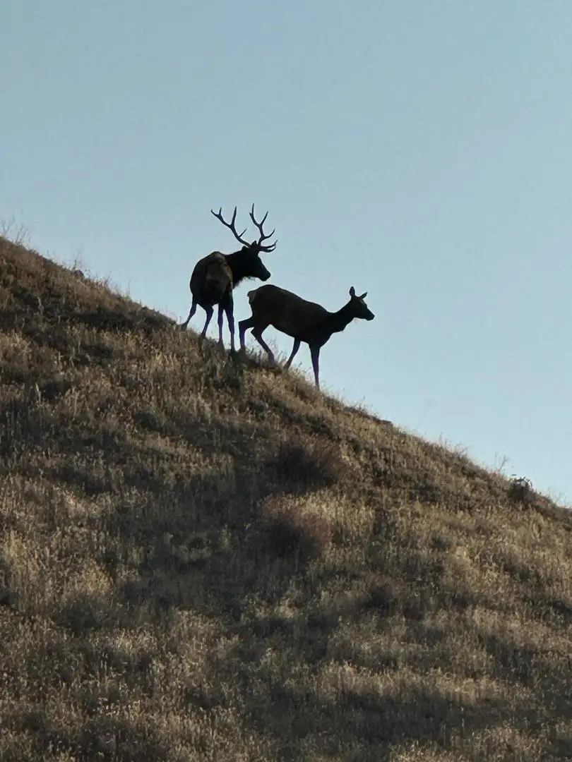 19825 New Idria Road, Paicines, CA 95043 - Image #1