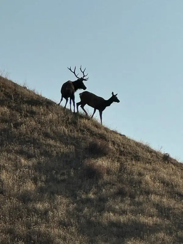 19825 New Idria Road, PAICINES, CA 95043