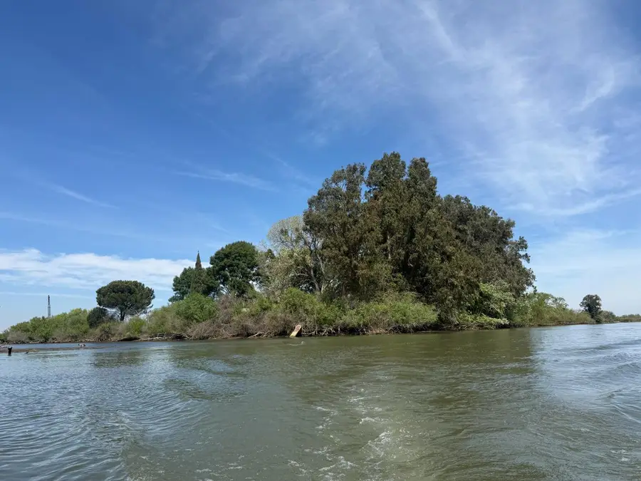 0 Halls Island, Walnut Grove, CA 95690 - #3