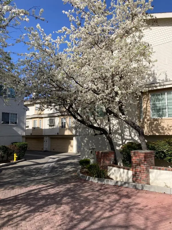 3673 Bascom Avenue, CAMPBELL, CA 95008