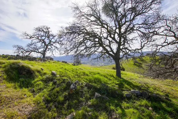 20041 Panoche Road, PAICINES, CA 95043