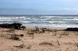 53 Pelican Point, Watsonville, CA 95076 - #2