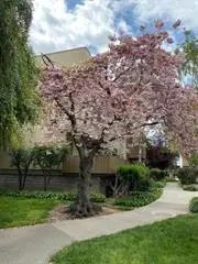 4415 Norwalk Drive  #3, San Jose, CA 95129 - #1