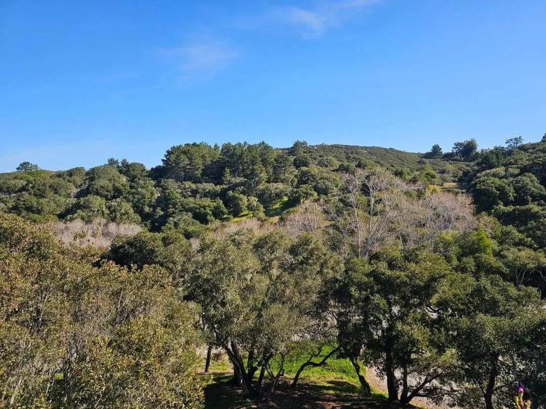 521 Quail Run Court, Del Rey Oaks, CA 93940 - #1