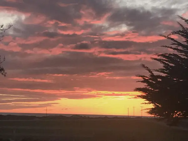 260 Giberson Road, MOSS LANDING, CA 95039