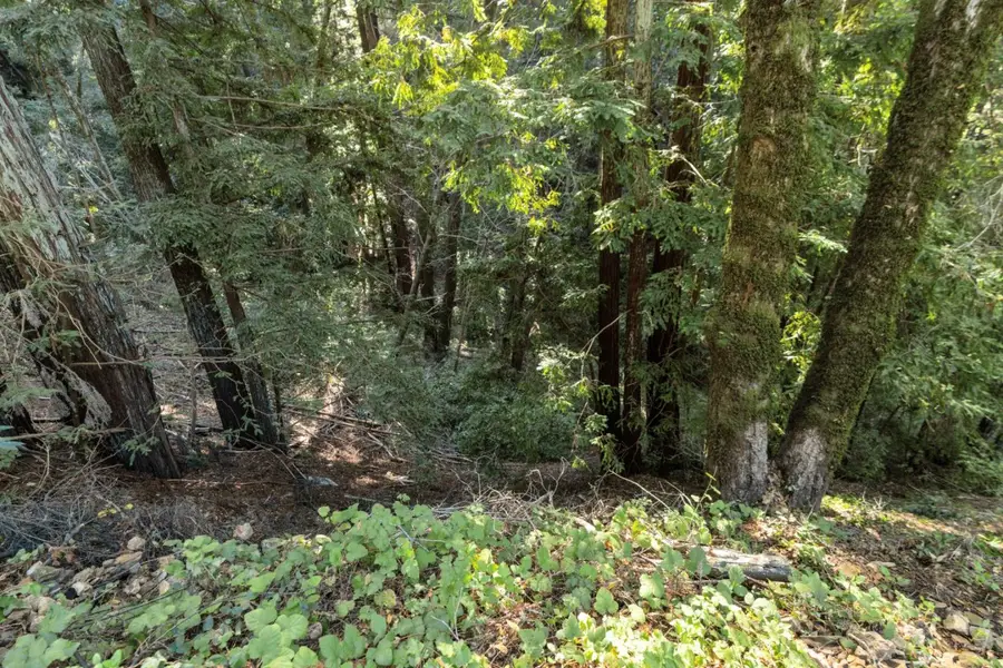 43 and 44 Buckeye Street, Felton, CA 95018 - #3