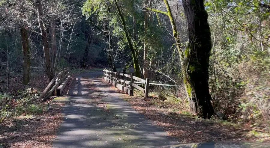 10 Garzas Trail, Carmel, CA 93923 - #3