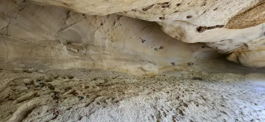 0 Salinas Road, San Juan Bautista, CA 95045 - #2