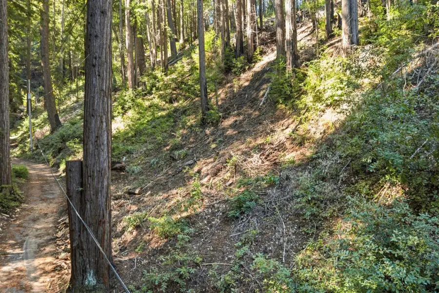 0 Forest Way, Brookdale, CA 95007 - #2