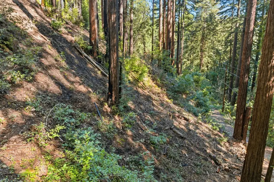 0 Forest Way, Brookdale, CA 95007 - #3
