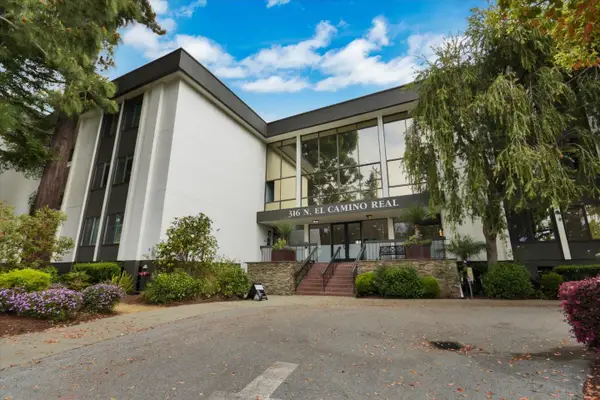 316 El Camino Real  #217, SAN MATEO, CA 94401