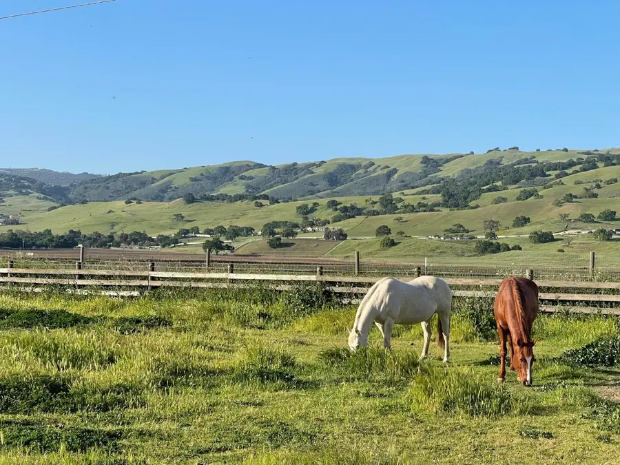 3465 Susie Lane, Gilroy, CA 95020 - #2