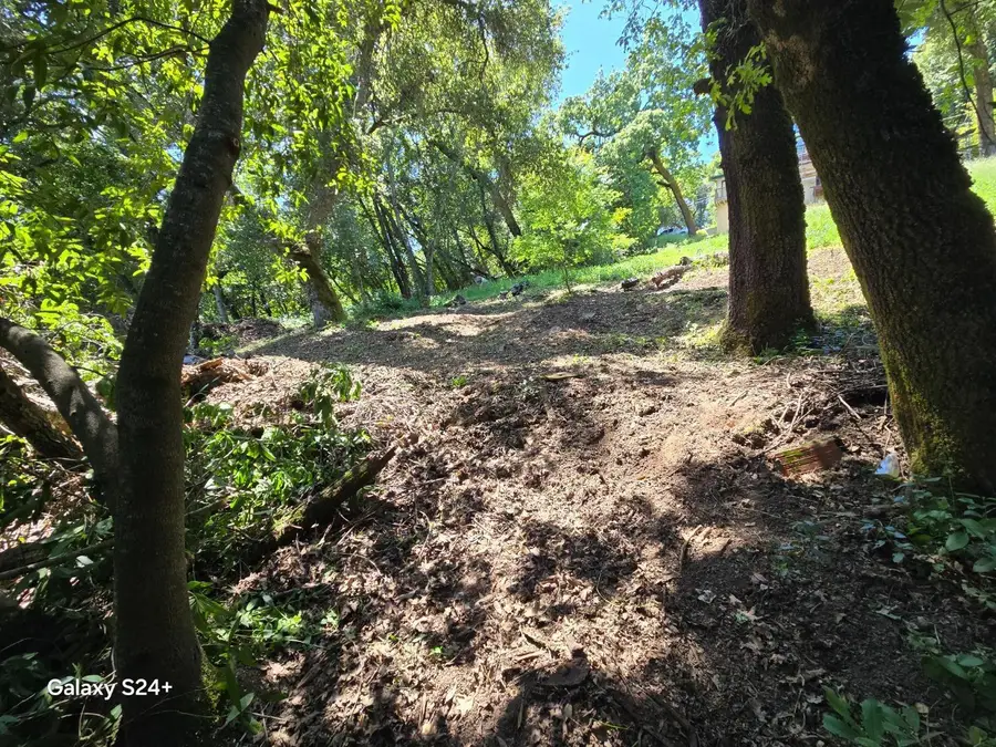 Address Withheld By Seller, Los Gatos, CA 95033 - #3