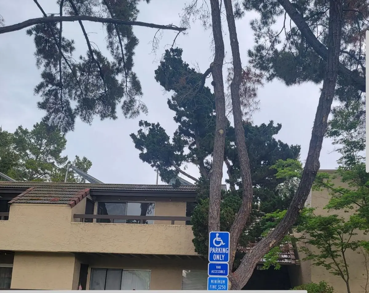 279 Tradewinds Drive  #6, San Jose, CA 95123 - #1