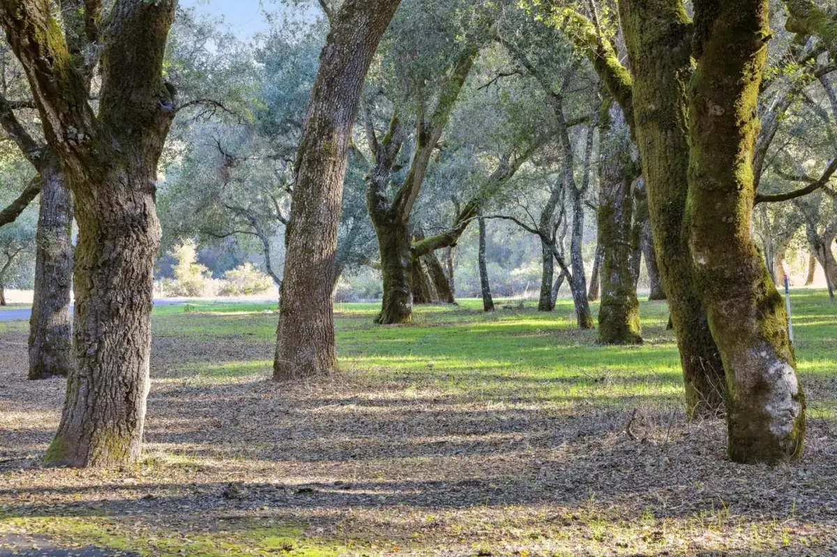 11 Arroyo Sequoia, Carmel, CA 93923 - #1