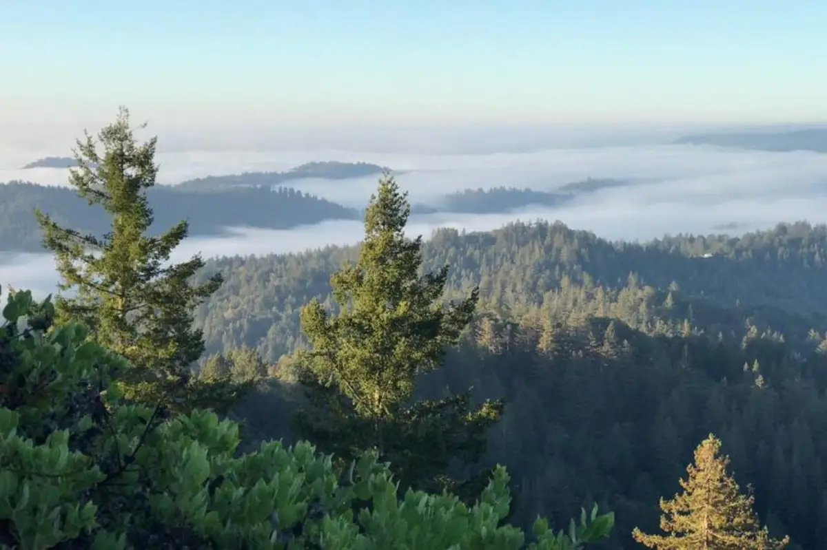 Lot 58 Skyview Ridge Road, Boulder Creek, CA 95006 - #1