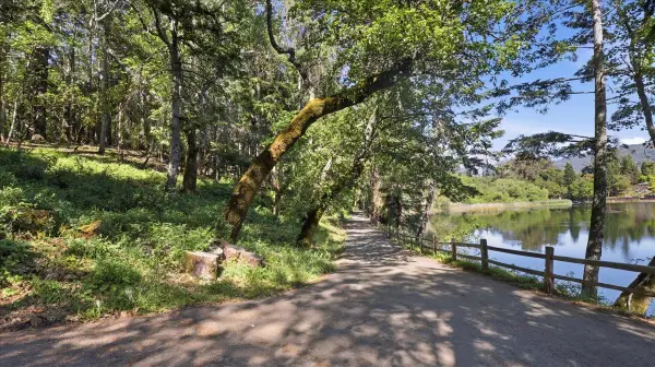 19730 Black Road, LOS GATOS, CA 95033