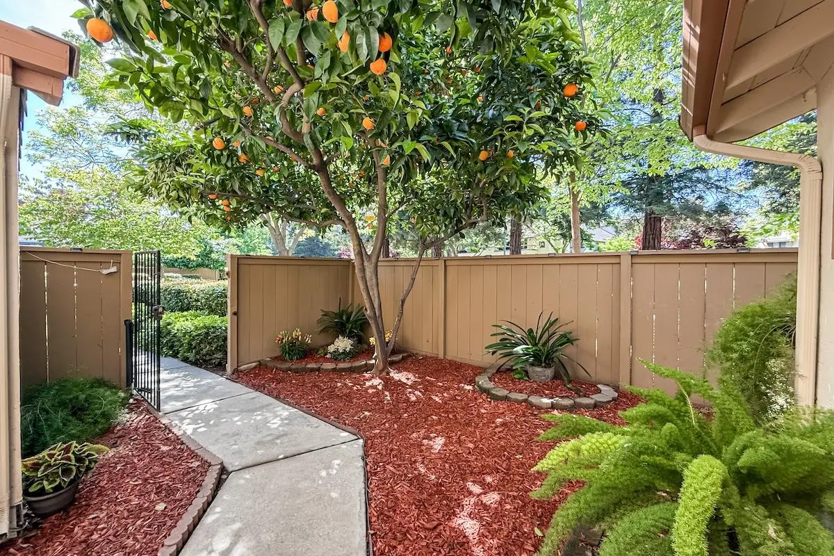 1241 Beaulieu Court, San Jose, CA 95125 - #1