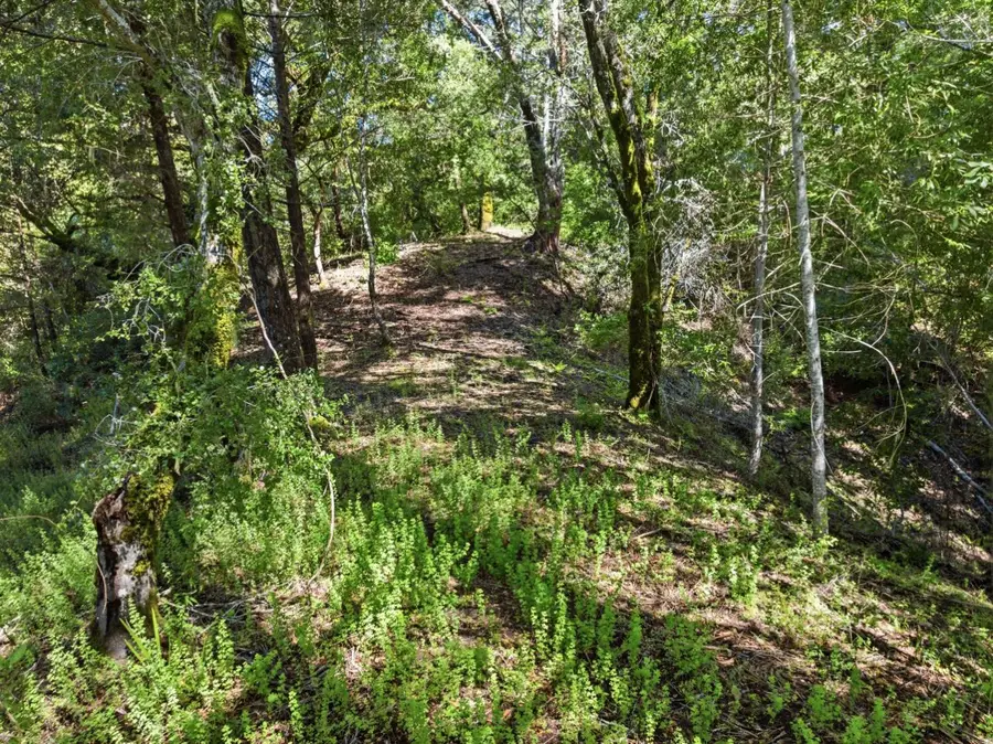 360 Rincon Way, Boulder Creek, CA 95006 - #3