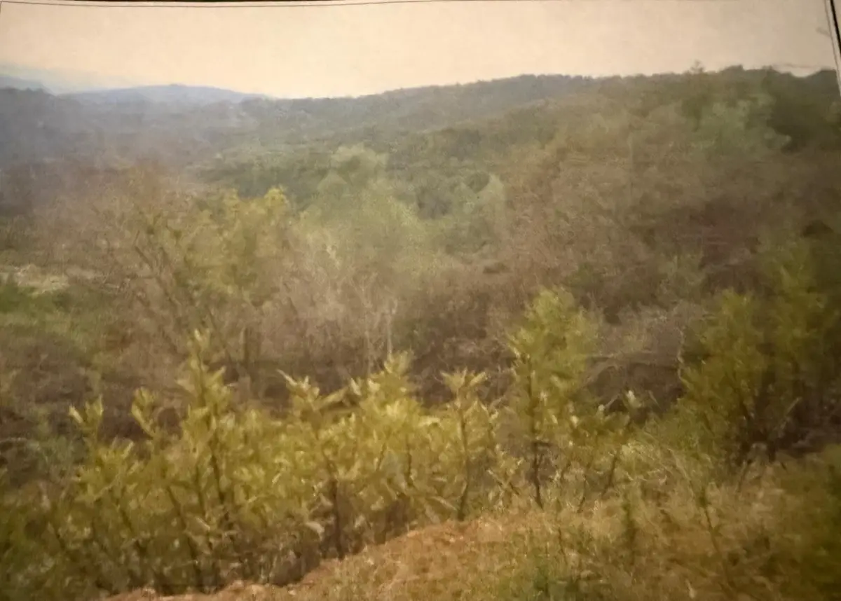 0 Croy Ridge Road, Morgan Hill, CA 95037 - #1