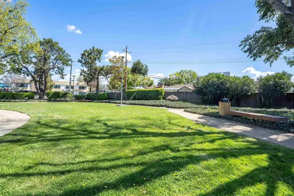 352 San Petra Court  #1, MILPITAS, CA 95035