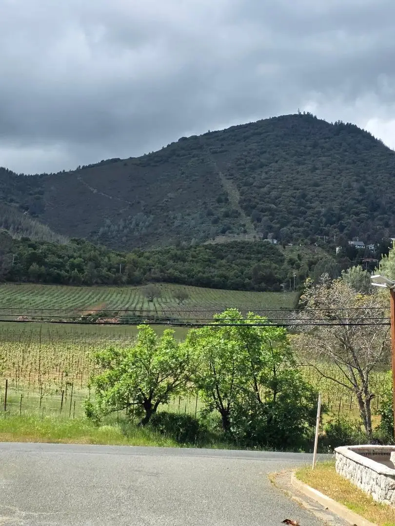 8735 Soda Bay Road, Kelseyville, CA 95451 - #2