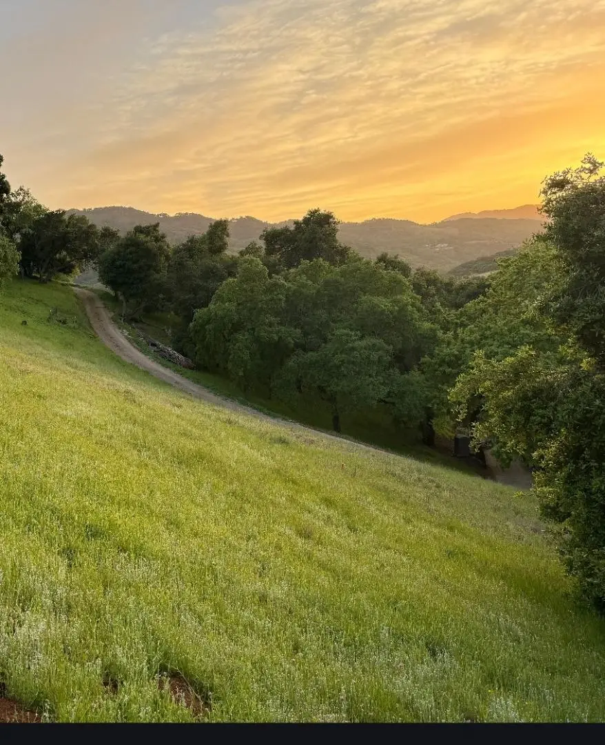 00 Dahlberg Drive, Morgan Hill, CA 95037 - #2