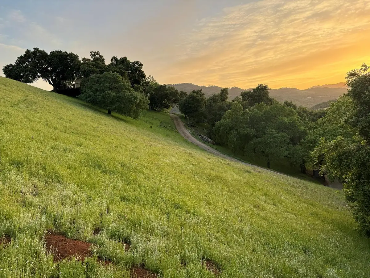 2328 Dahlberg Drive, Morgan Hill, CA 95037 - #1
