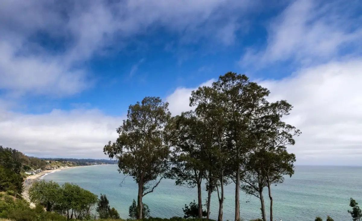 850 Park Avenue  #5C, Capitola, CA 95010 - #1
