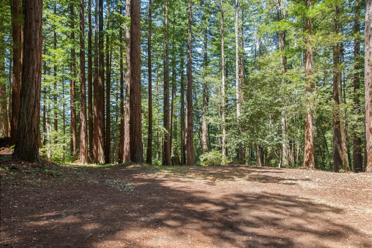 0000 Native Sons Road, Woodside, CA 94062 - #1