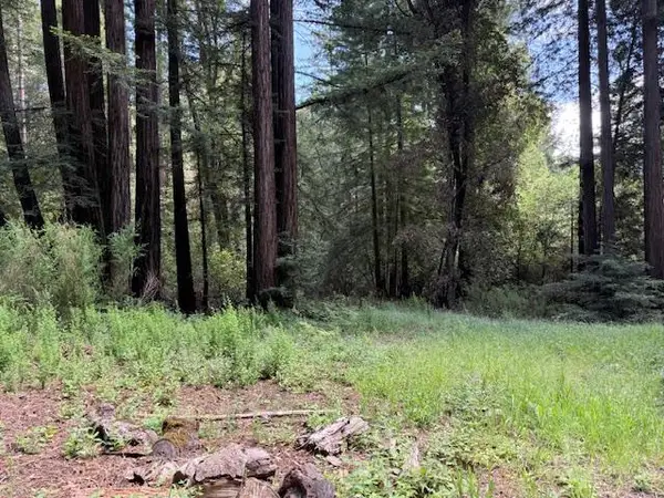 1701 Felton Quarry Rd., FELTON, CA 95018
