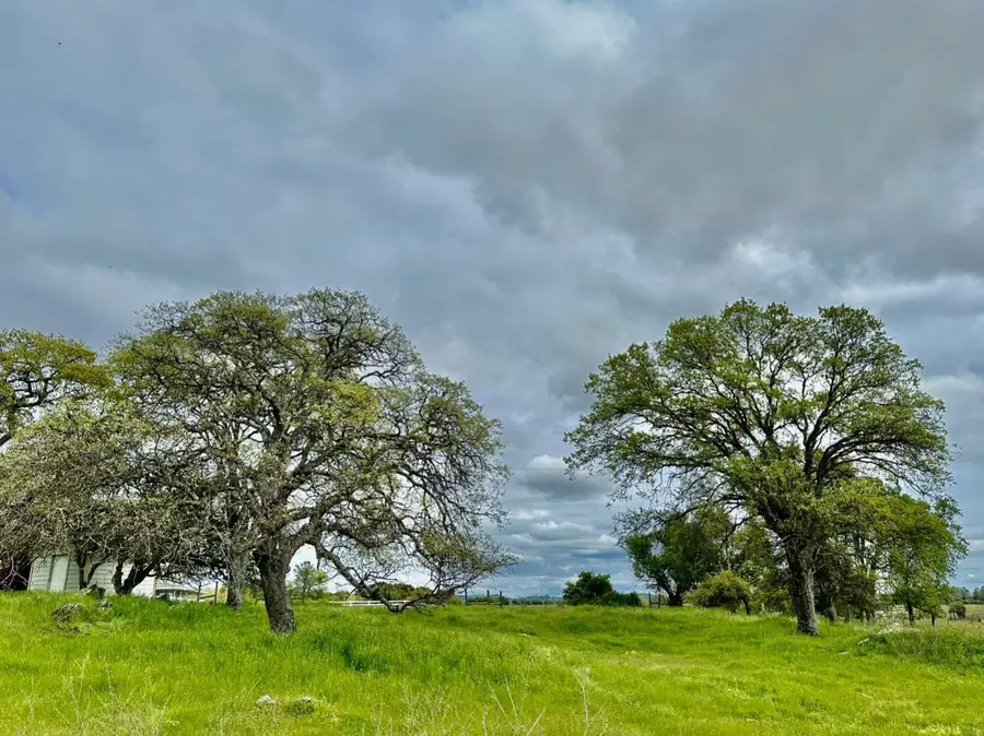 159 Albright Court, Angels Camp, CA 95222 - #3